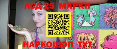 гидропоника Жуковский