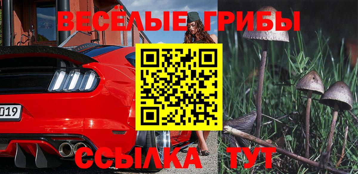 Псилоцибиновые грибы Psilocybine cubensis Лосино-Петровский