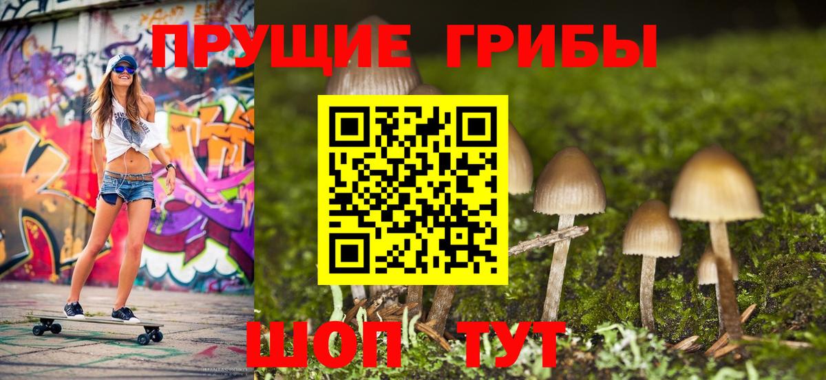 Лосино-Петровский  Псилоцибиновые грибы мухоморы  Вход с VPN  Галлюциногенные грибы Psilocybe 